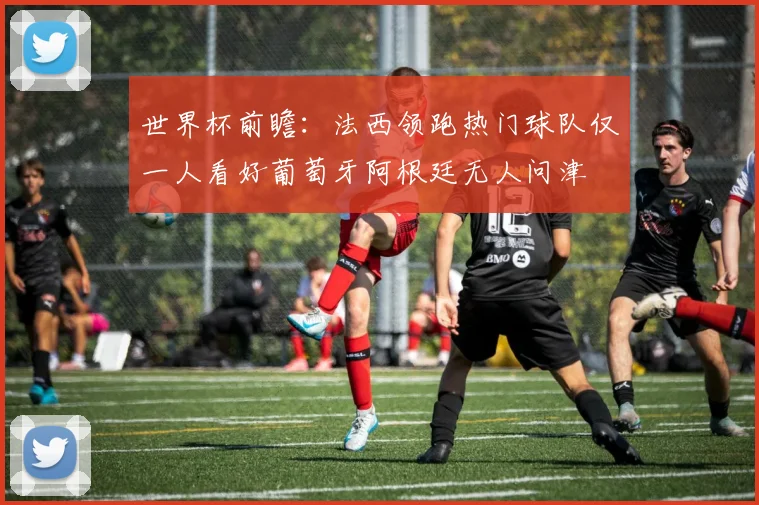 世界杯前瞻：法西领跑热门球队仅一人看好葡萄牙阿根廷无人问津