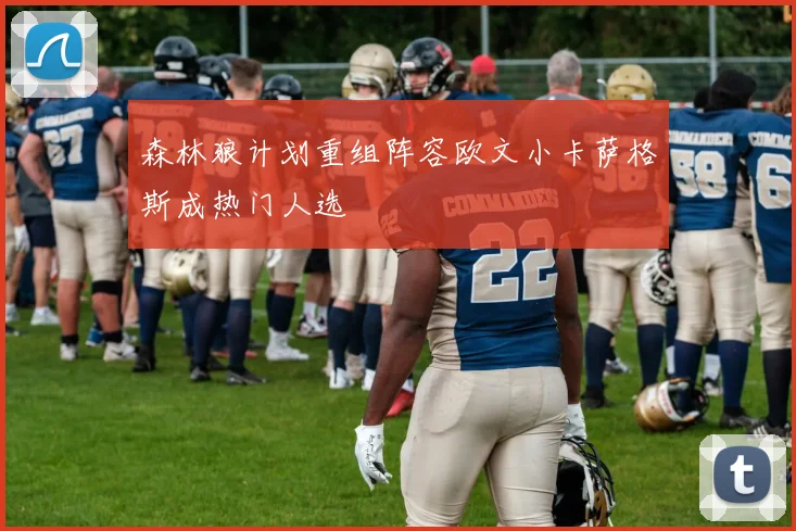 森林狼计划重组阵容欧文小卡萨格斯成热门人选