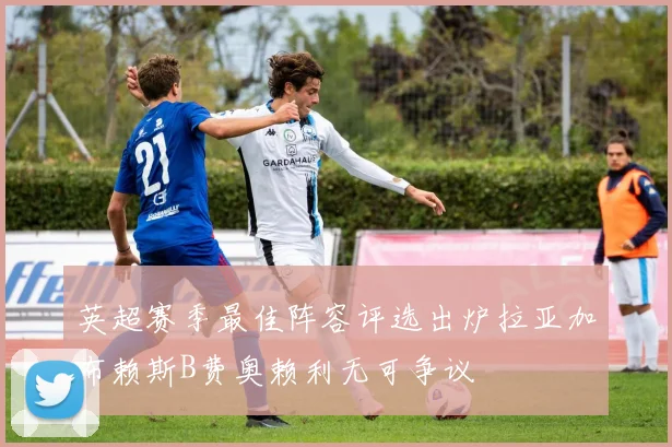 英超赛季最佳阵容评选出炉拉亚加布赖斯B费奥赖利无可争议